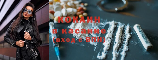 прущие грибы Абаза