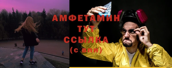 прущие грибы Абаза