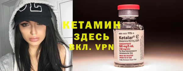 прущие грибы Абаза