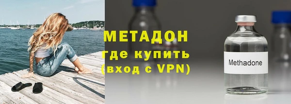 прущие грибы Абаза