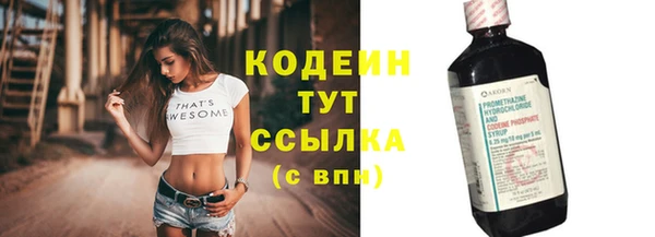 прущие грибы Абаза