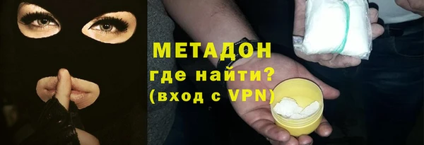 прущие грибы Абаза