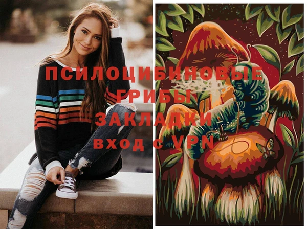 дмт Абинск