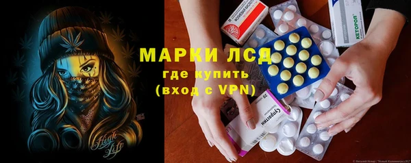 прущие грибы Абаза