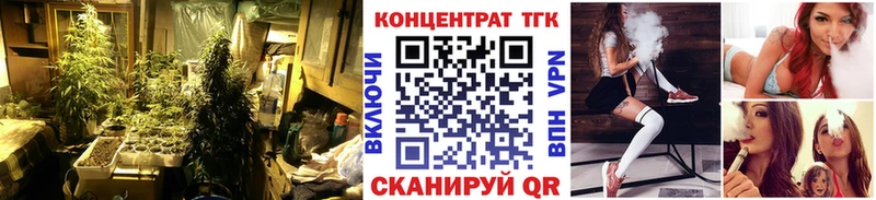 как найти наркотики  Струнино  Дистиллят ТГК гашишное масло 