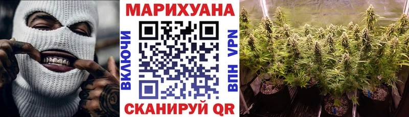 купить  сайты  Струнино  Каннабис планчик 